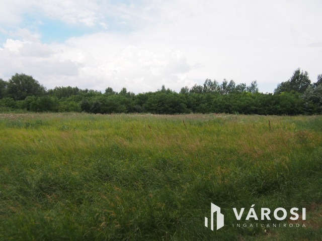 Iparterület Szeged és Vásárhely között, a Tisza hídnál!