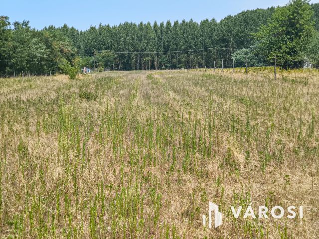 5800 m2-es kertes mezőgazdasági terület Csemőn!