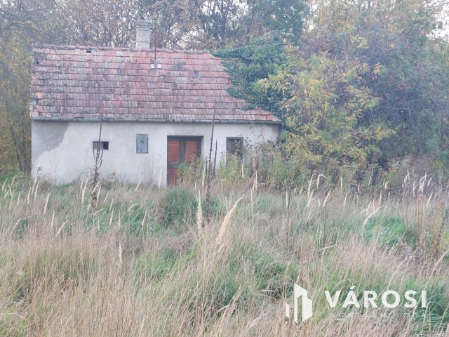 Bazsi szőlő hegyen 1,75 ha terület lakóépülettel eladó